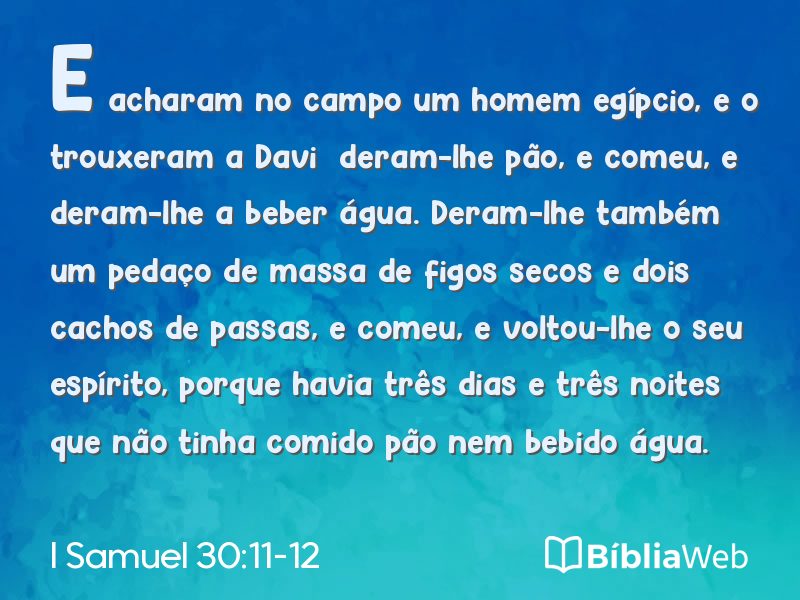 I Samuel 30:11-12 em imagem para compartilhar