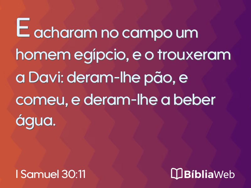I Samuel 30:11 em imagem para compartilhar