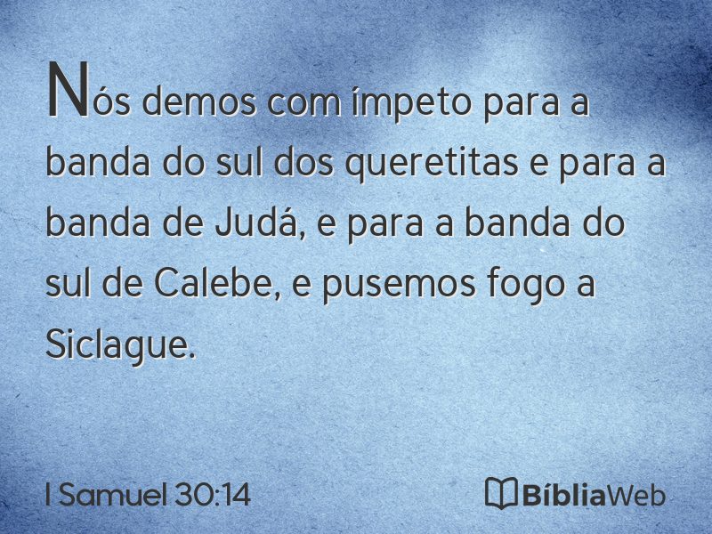 I Samuel 30:14 em imagem para compartilhar