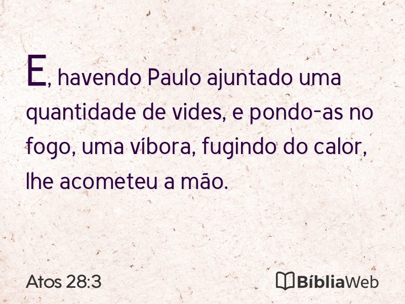 Atos 28:3 em imagem para compartilhar
