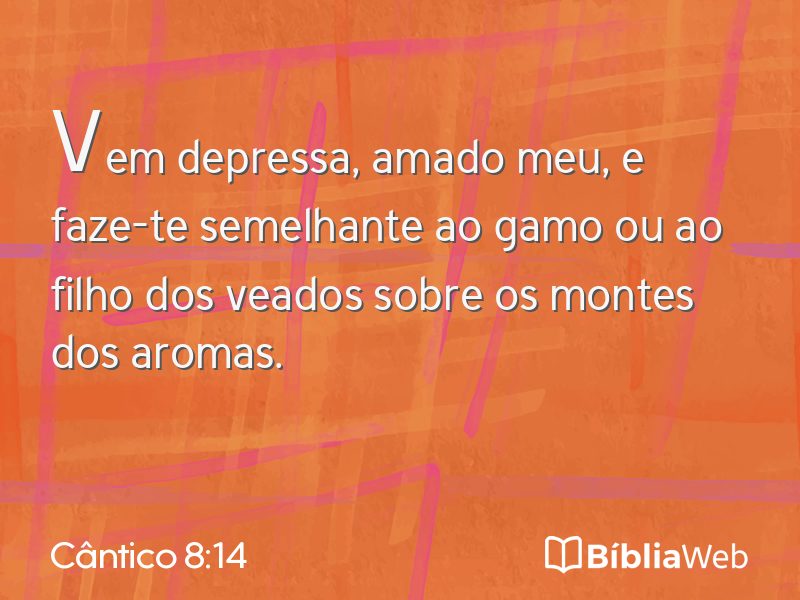 Cântico 8:14 em imagem para compartilhar