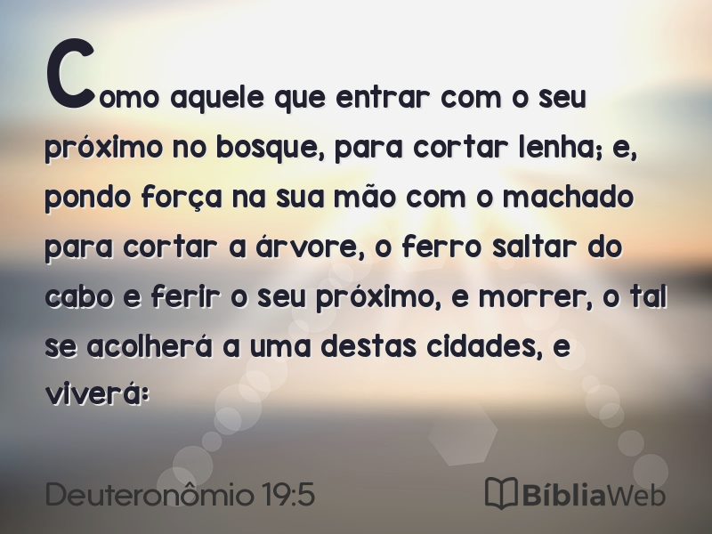 Deuteronômio 19:5 em imagem para compartilhar