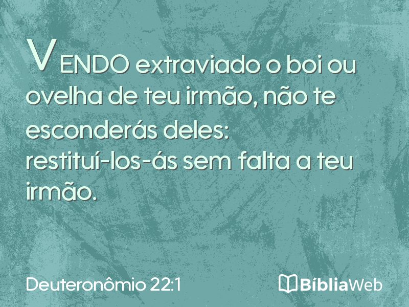 Deuteronômio 22:1 em imagem para compartilhar
