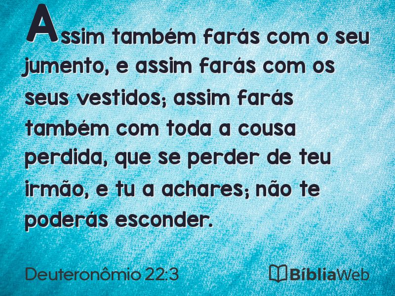 Deuteronômio 22:3 em imagem para compartilhar