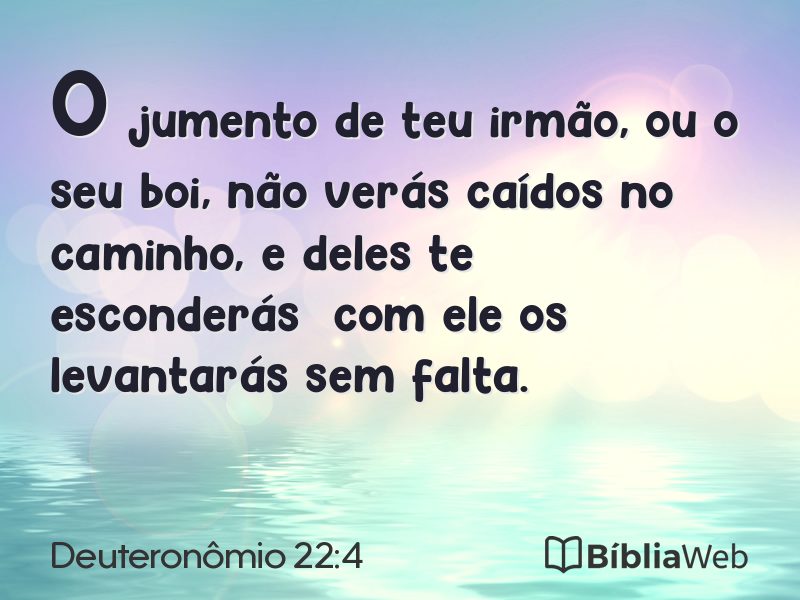 Deuteronômio 22:4 em imagem para compartilhar