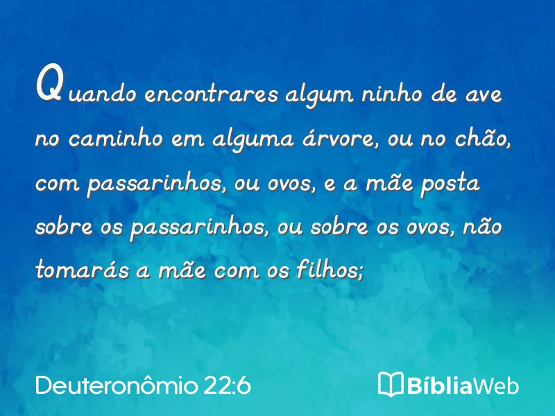 Deuteronômio 22:6 em imagem para compartilhar
