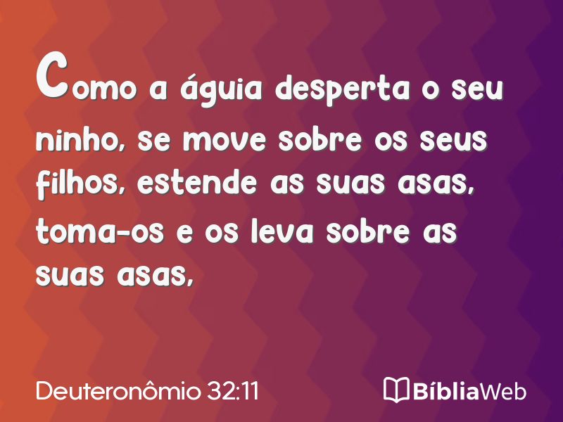 Deuteronômio 32:11 em imagem para compartilhar