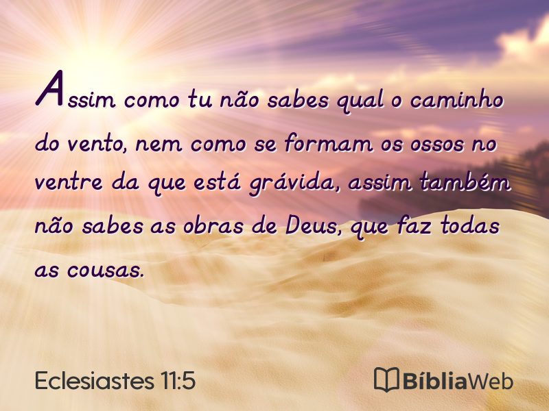 Eclesiastes 11:5 em imagem para compartilhar