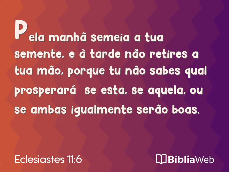 Eclesiastes 11:6 em imagem para compartilhar
