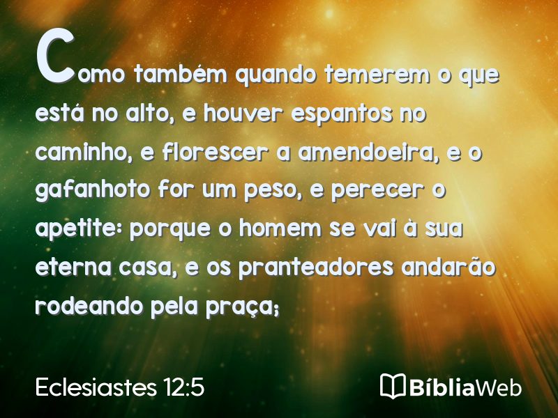 Eclesiastes 12:5 em imagem para compartilhar