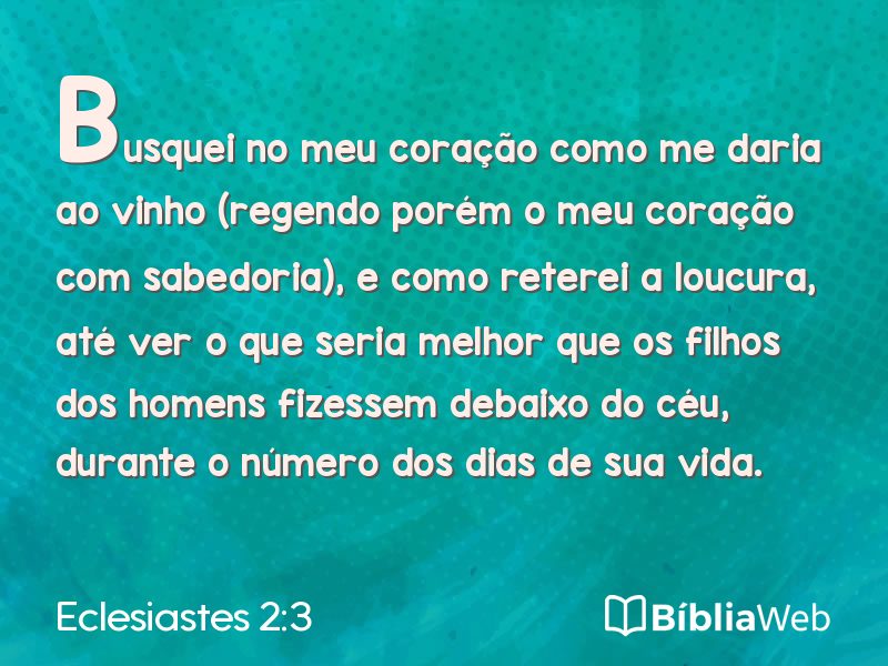 Eclesiastes 2:3 em imagem para compartilhar