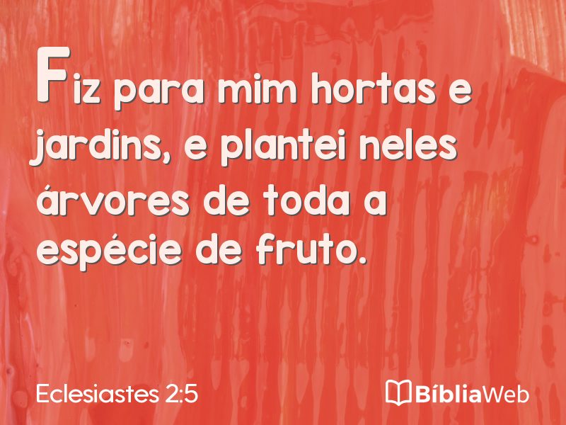 Eclesiastes 2:5 em imagem para compartilhar