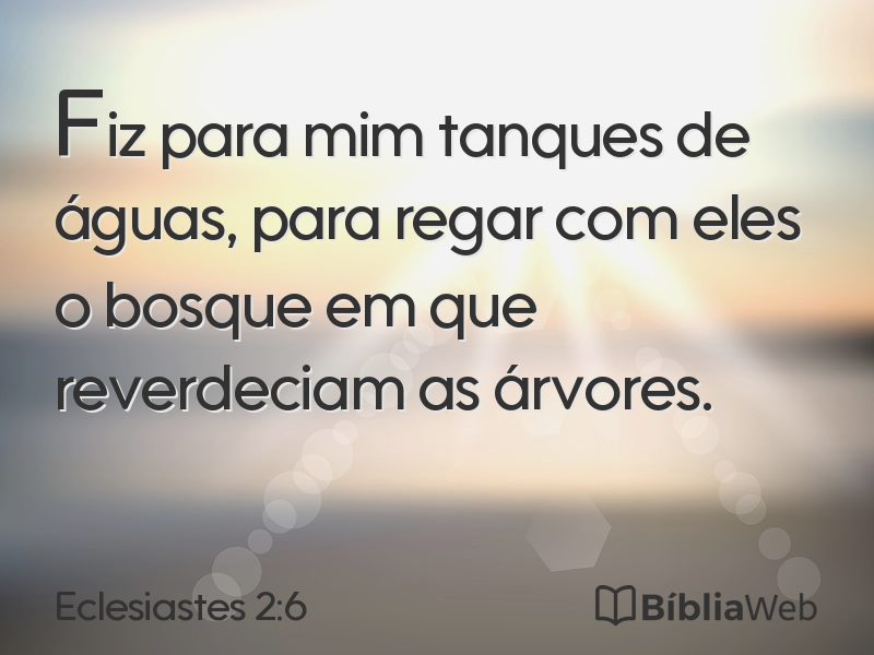 Eclesiastes 2:6 em imagem para compartilhar