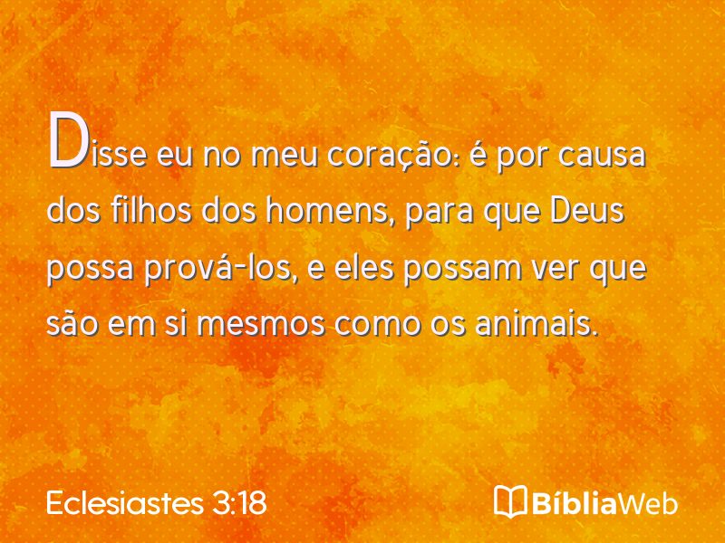 Eclesiastes 3:18 em imagem para compartilhar