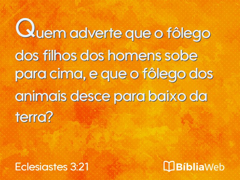 Eclesiastes 3:21 em imagem para compartilhar