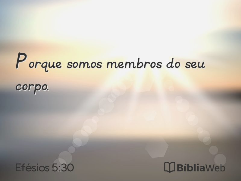 Efésios 5:30 em imagem para compartilhar