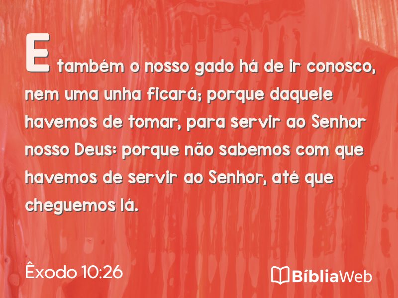 Êxodo 10:26 em imagem para compartilhar