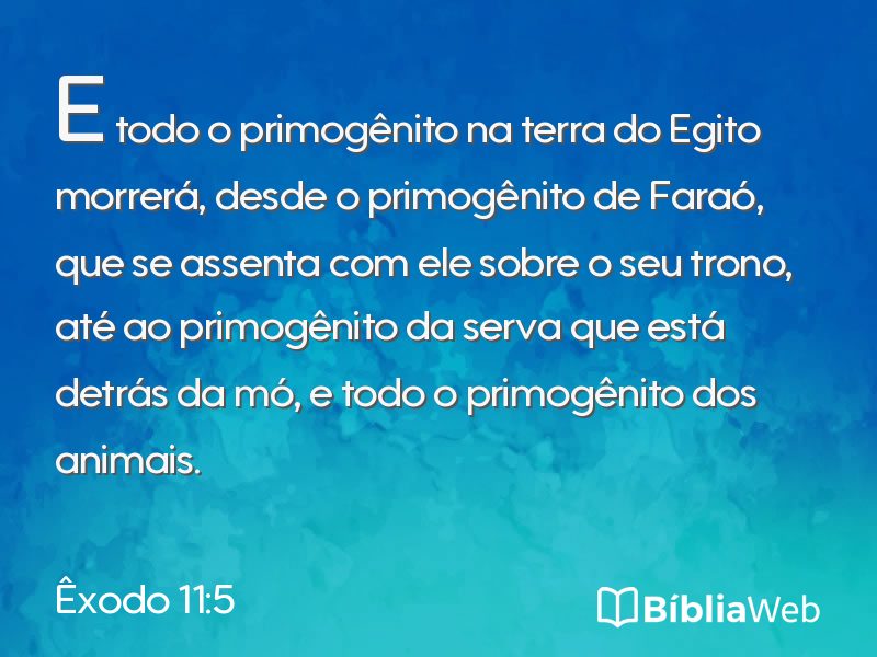 Êxodo 11:5 em imagem para compartilhar