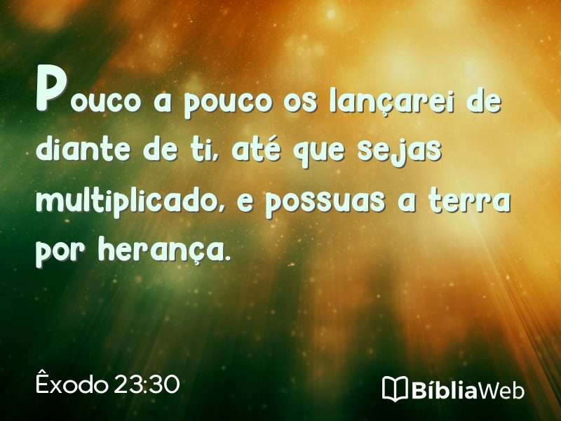 Êxodo 23:30 em imagem para compartilhar