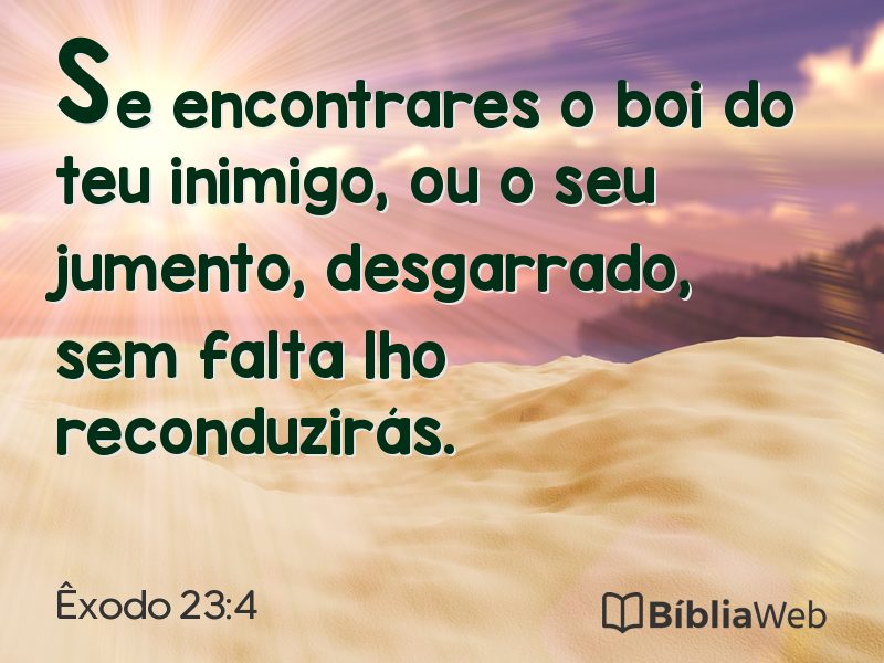 Êxodo 23:4 em imagem para compartilhar