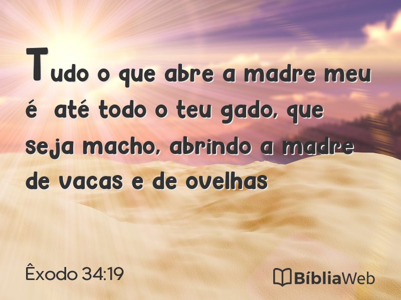 Êxodo 34:19 em imagem para compartilhar
