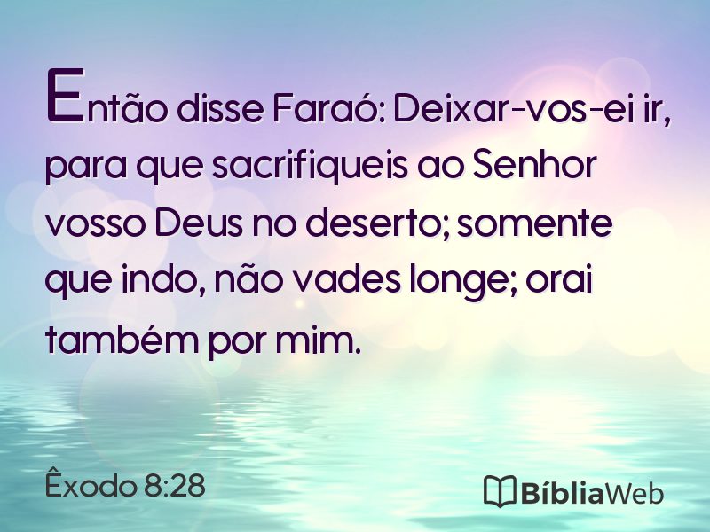 Êxodo 8:28 em imagem para compartilhar