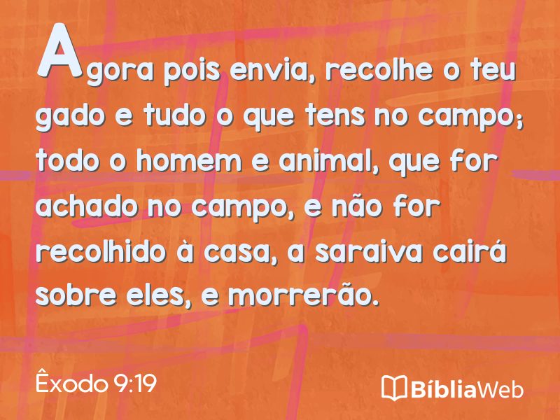 Êxodo 9:19 em imagem para compartilhar