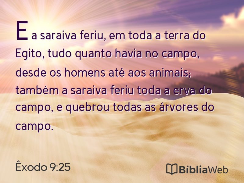 Êxodo 9:25 em imagem para compartilhar