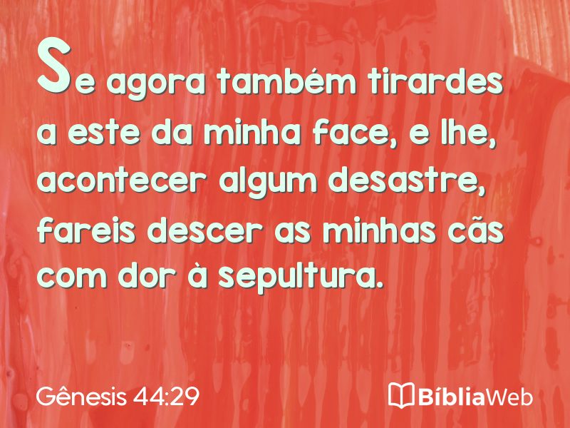 Gênesis 44:29 em imagem para compartilhar