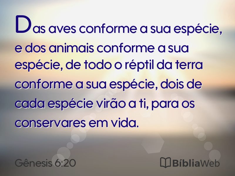 Gênesis 6:20 em imagem para compartilhar