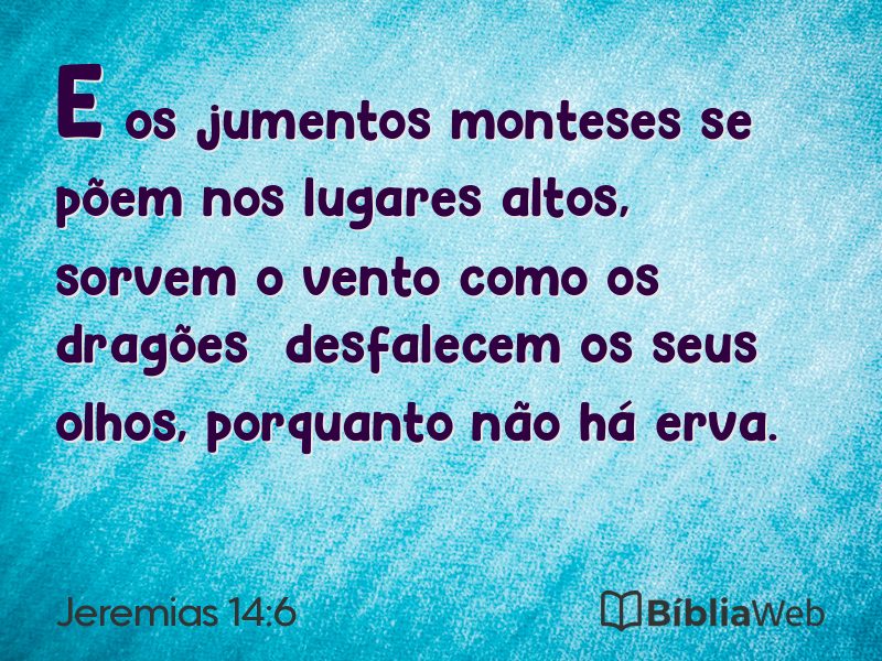 Jeremias 14:6 em imagem para compartilhar
