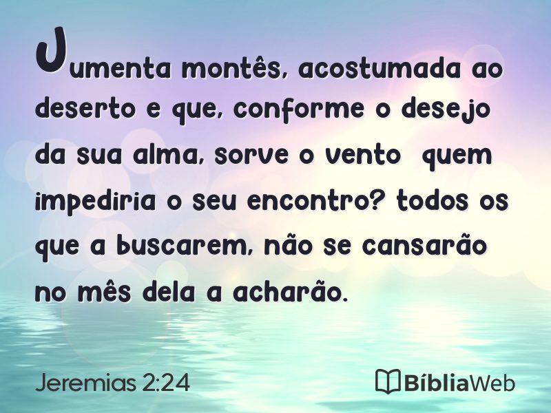 Jeremias 2:24 em imagem para compartilhar