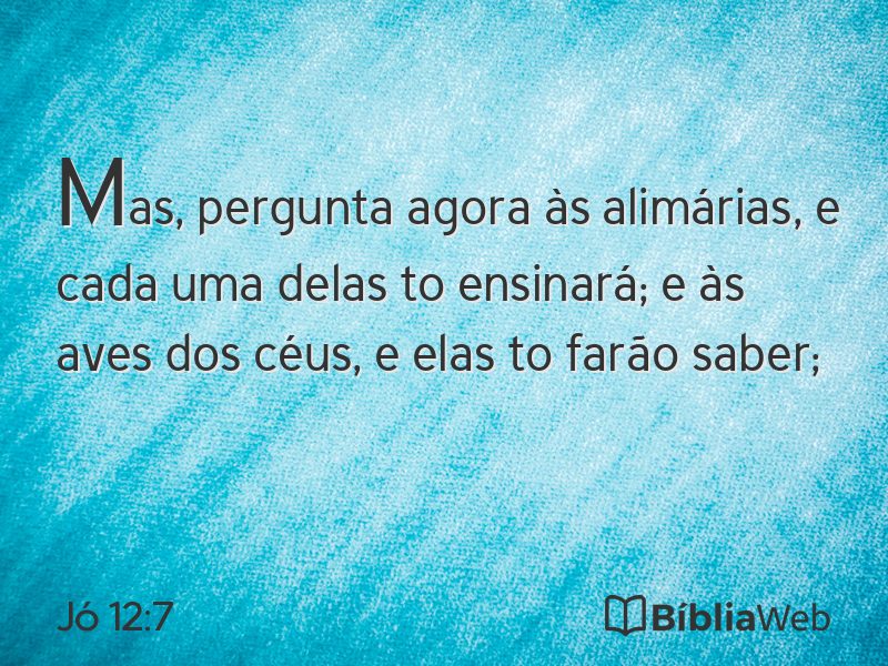 Jó 12:7 em imagem para compartilhar