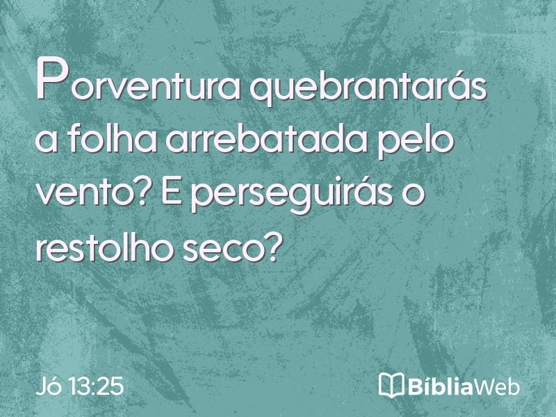 Jó 13:25 em imagem para compartilhar