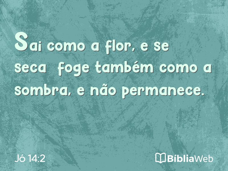 Jó 14:2 em imagem para compartilhar