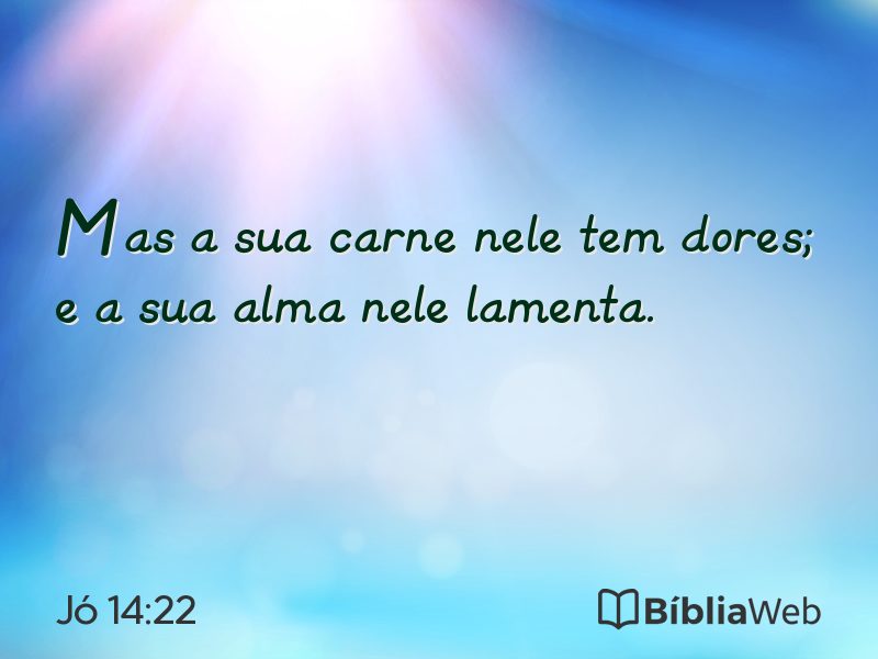 Jó 14:22 em imagem para compartilhar