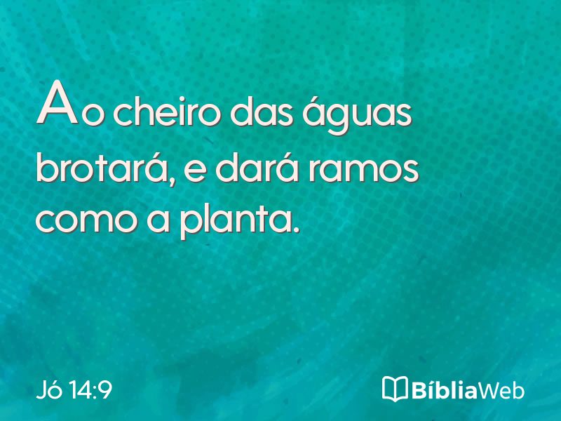 Jó 14:9 em imagem para compartilhar