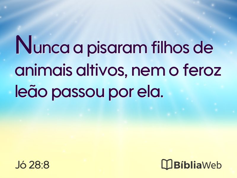 Jó 28:8 em imagem para compartilhar