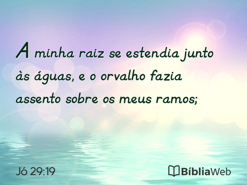 Jó 29:19 em imagem para compartilhar