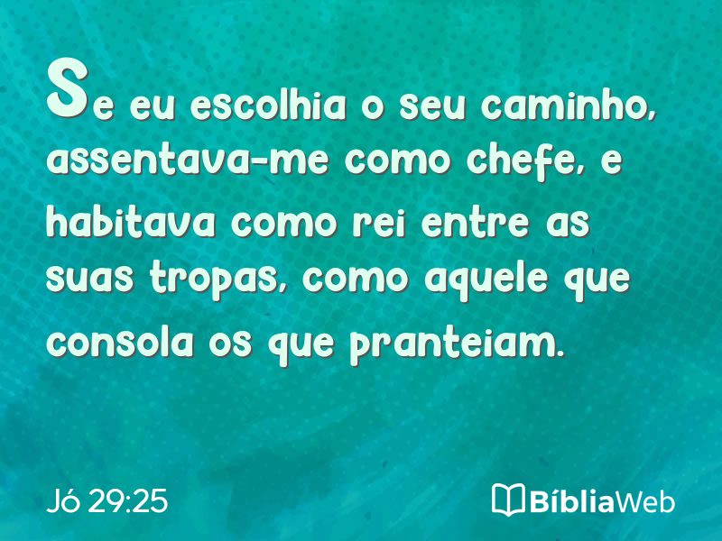 Jó 29:25 em imagem para compartilhar