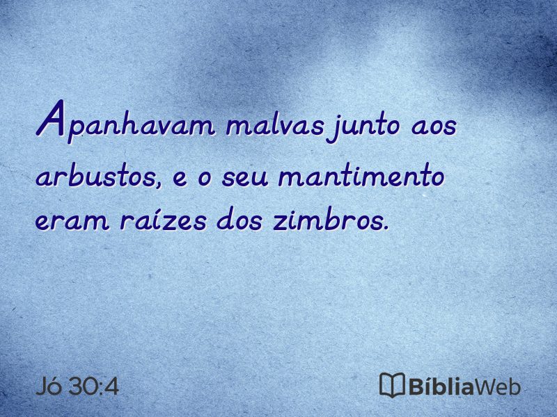 Jó 30:4 em imagem para compartilhar