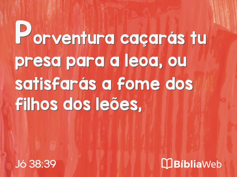 Jó 38:39 em imagem para compartilhar