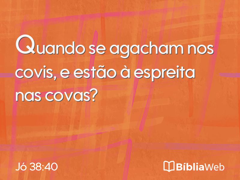 Jó 38:40 em imagem para compartilhar