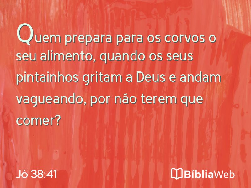 Jó 38:41 em imagem para compartilhar