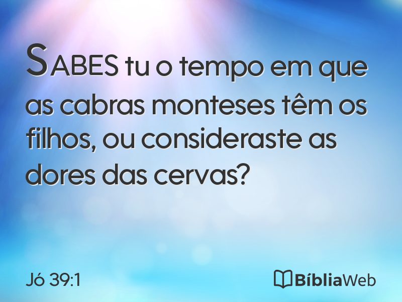 Jó 39:1 em imagem para compartilhar
