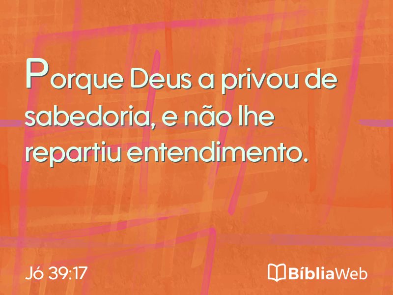 Jó 39:17 em imagem para compartilhar
