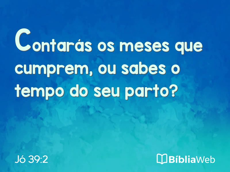 Jó 39:2 em imagem para compartilhar