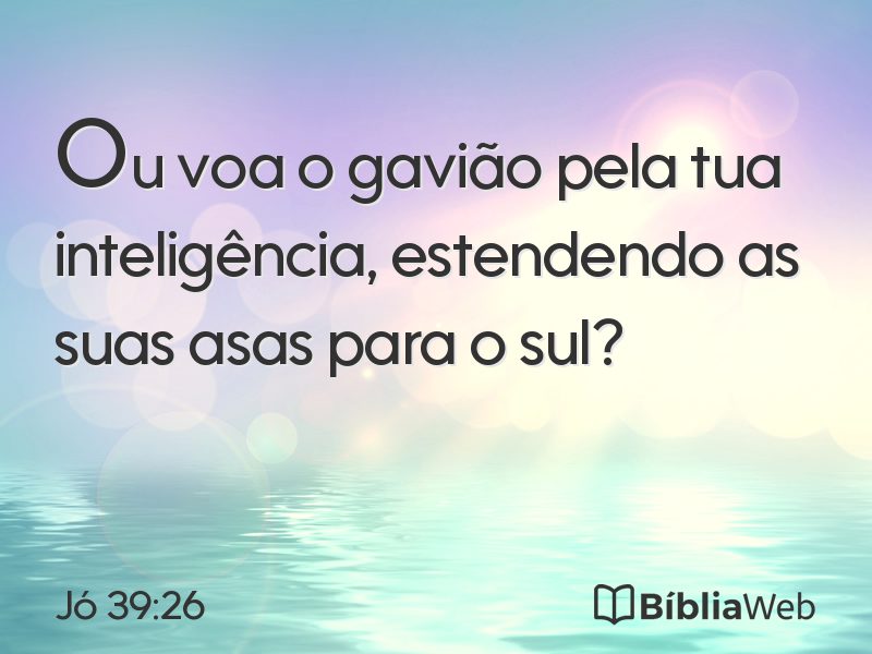 Jó 39:26 em imagem para compartilhar