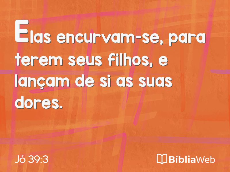 Jó 39:3 em imagem para compartilhar