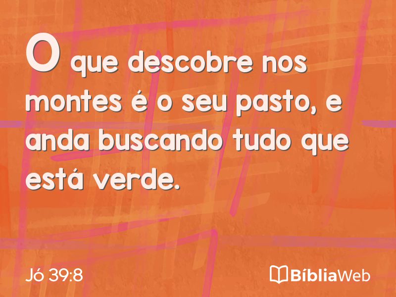 Jó 39:8 em imagem para compartilhar